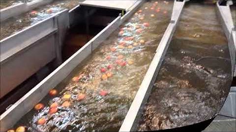 GREEFA - Fischer - GeoSort 6 lane grading and packing machine for apples in Brazil