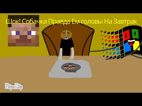 Windows 4.0 Шок