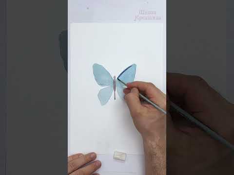 Как нарисовать бабочку за 5 минут