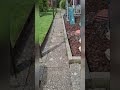 a couple of hours weeding driveway and pathways and garden #myyard #fypシ #fyp #work #weeding #garden