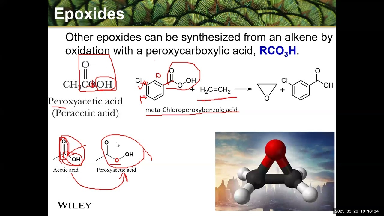 Epoxides and Thiols  الإيبوكسيدات والثيولات
