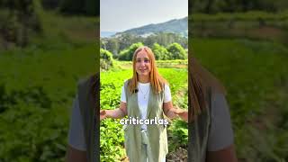 ¿Qué hace que una patata tenga ese sabor que marca la diferencia?
