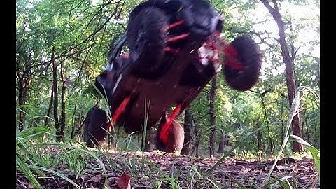 Breaking in the new RZR XP 1000