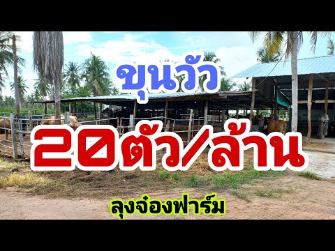 วีดีโอ: เนื้อสัตว์ที่เลี้ยงด้วยหญ้า: คุณควรให้อาหารแก่สัตว์เลี้ยงของคุณหรือไม่?