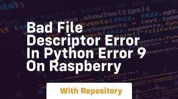 Bad file descriptor error in Python Error 9 on Raspberry
