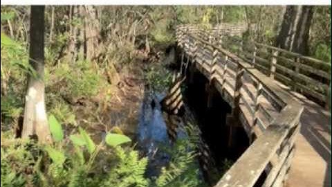 How to use Doink Express App on the iPhone in Education (Math, Science, Storytelling)