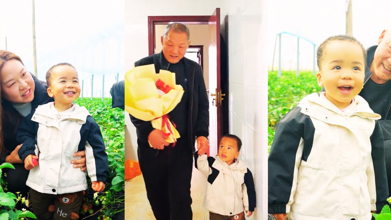 Каикай и дедушка собирают клубнику! А потом делают клубничные цветочки для бабушки ❤️!