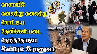 இஸ்ரேல் இராணுவத்திற்கு கடவுளின் தண்டனை | கலைத்து கலைத்து கொட்டிய தேனீக்கள் !