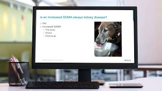 Why should SDMA be an essential inclusion in pre general anaesthetic screening