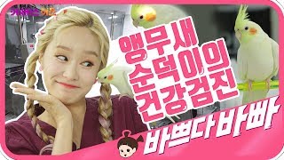 동물병원의사쌤이 된 지니! 바쁘다바빠 직업탐험｜ KBS TV유치원 ｜ pretend play