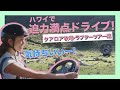 ハワイのハリウッド映画ロケ地でラプターツアー！【クアロアランチ ラプターツアー編！】