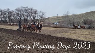 Pomeroy Plowing Days 2023