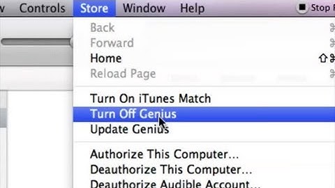 How to Remove Genius From iTunes : iTunes Basics