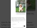 Legolize your life with AI