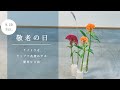 【敬老の日】ケイトウの花をプレゼント