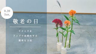 【敬老の日】ケイトウの花をプレゼント