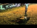 Fiestas de Tame 2014, El Coleo y los caballos