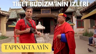 Tibet Budizm’inin izleri (YENİ BÖLÜM) / The traces of Tibetan Buddhism