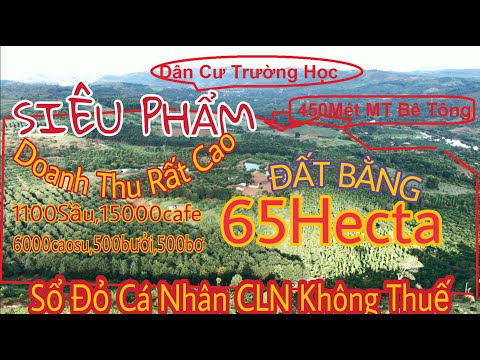 Video Bán Đất rẻ 65 ha gần QL14 250m Mặt Tiền Bê Tông tại... - youtube