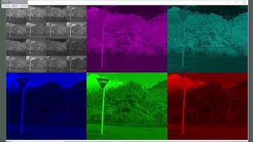 Real-time multispectral video (5 bands) with "Xin1 camera"