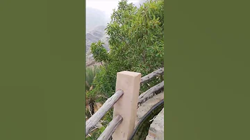 كنت دوما اتجول 