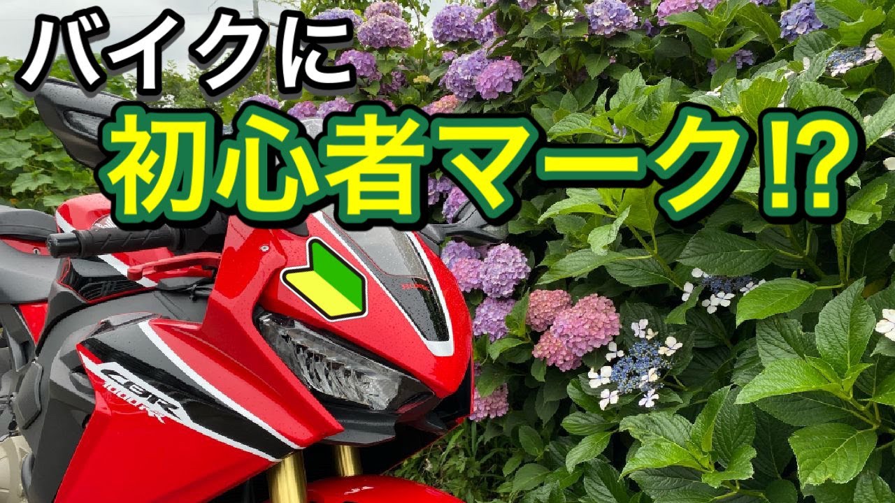 モトブログ バイクに初心者マーク Youtube