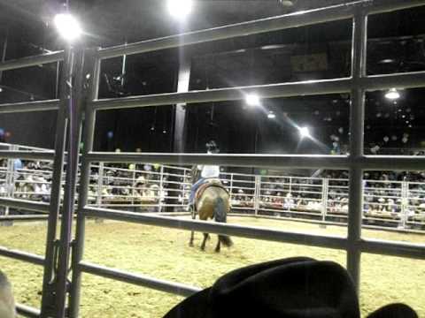 conjunto ejemplo de san luis-el gallo de corralejo