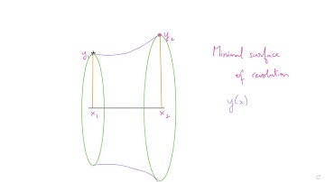 The Catenoid: A problem in the calculus of variations