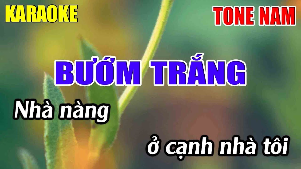 Bướm Trắng Karaoke Tone Nam Karaoke Lâm Nhạc Sống 2026 - Beat Mới