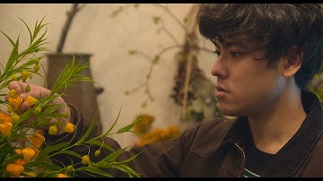 映画『アボカドの固さ』予告編