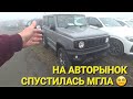 НА АВТОРЫНОК СПУСТИЛАСЬ МГЛА, ВЛАДИВОСТОК ЗЕЛЁНЫЙ УГОЛ, ЦЕНЫ ВИДЕО СЕГОДНЯ 2023