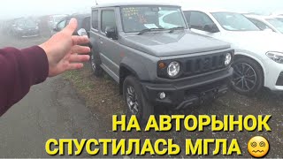 НА АВТОРЫНОК СПУСТИЛАСЬ МГЛА, ВЛАДИВОСТОК ЗЕЛЁНЫЙ УГОЛ, ЦЕНЫ ВИДЕО СЕГОДНЯ 2023