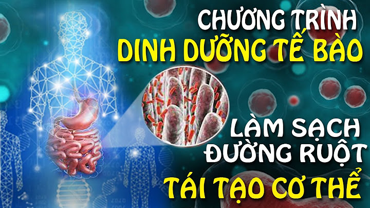 Tế bào sinh dưỡng là gì năm 2024