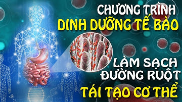 Làm sạch Đường ruột | Tái tạo Cơ thể | Dinh dưỡng Tế bào | Talking Point Bài 3