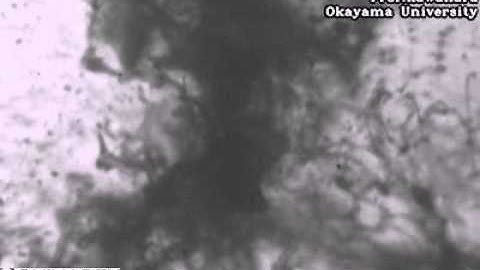 Atomization Process of Fuels 2 mm from the nozzle