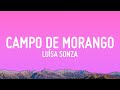 Miniature de la vidéo de la chanson Campo De Morango
