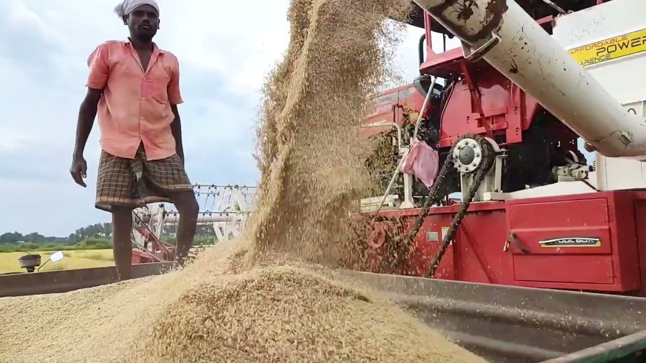 MF 9500 Smart Harvester- Paddy Harvesting