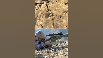 Sniper Membidik Kambing Liar Di Lereng Gunung (Berburu Kambing Liar) #berburu