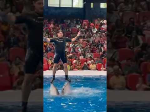 Dubai Dolphinarium #dubai #dubailife #dubaidolphinarium