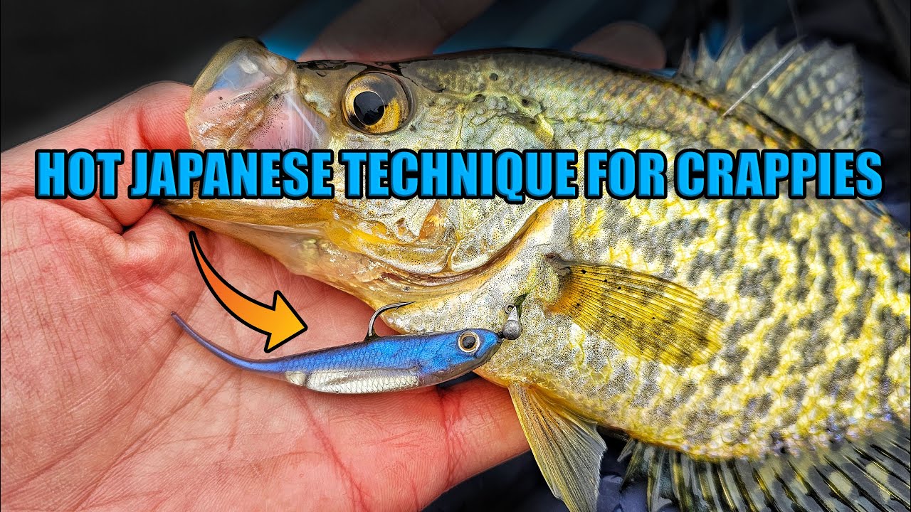 Crappie Fishing with Japanese Fishing Technique - Owner Range