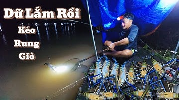 THU PHỤC " Ổ Tôm Càng Xanh Khủng " Kéo Sệ Nách Là Có Thật  |Cơm Quê Nhà 163# 