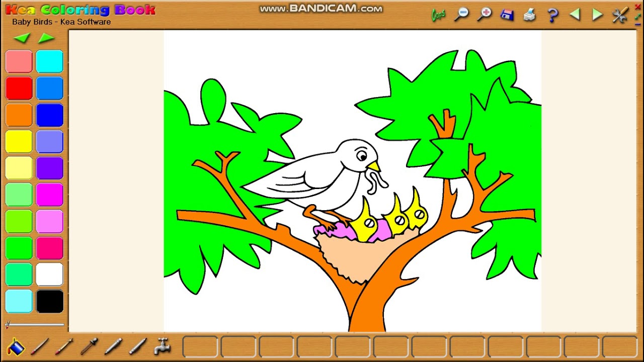 Download Coloring software for kids - Kea coloring book (Eps 4) - YouTube