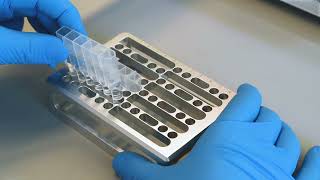 DNA/RNA Extraction with PurePrep Mini!