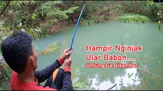 Fishing Here, I Caught a Fish and Was Immediately Hooked, But I Almost Stepped on a Baboon Snake