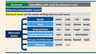 Celebrity B3LS Unit 2 - Grammar - Quantifiers with count & non-count nouns Net Worth