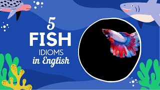 5 Fish Idioms in English (English for advanced learners)☺️❤️🐟