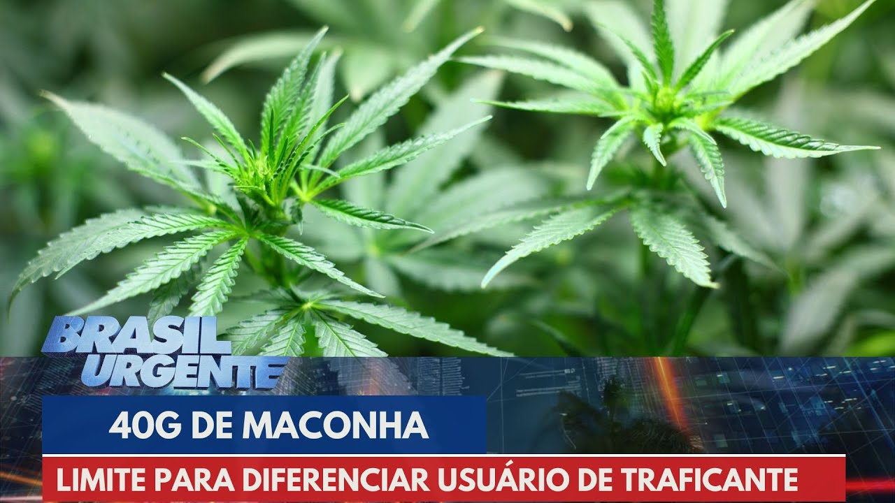 STF fixa 40g como limite de maconha para diferenciar usuário de traficante | Brasil Urgente
