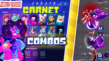 CRAZY GARNET COMBO .... multiversus combos and clips