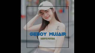 Geboy Mujair