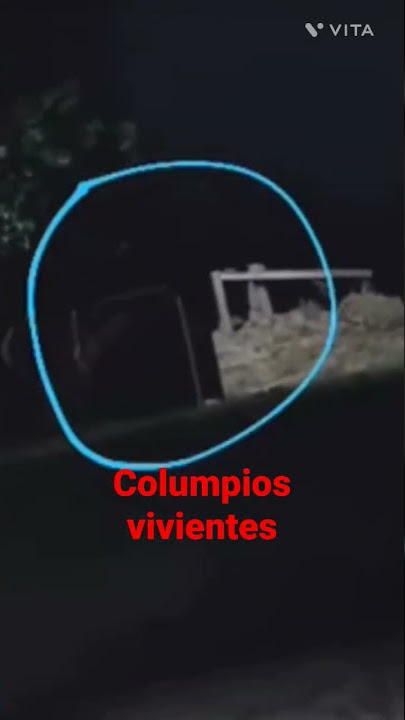 Los columpios se mueven solos